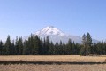 Mount Shasta from Road 19