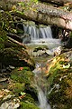 Parker Brook - Pittsfield State Forest