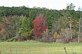Beaver Pond, Mendon, Vermont