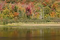 Beaver Pond, Mendon, Vermont
