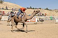 Virginia City Camel Races
