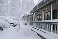 Lake Tahoe and Truckee - December 30th