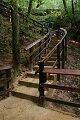 Stairway to Semperviren Fall, Big Basin State Park