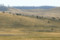 Yellowstone Panoramas
