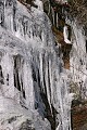 Icicles, Tunxis State Forest, Conn.