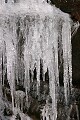 Icicles, Tunxis State Forest, Conn.