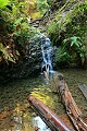 Tiptoe Falls - Portola Redwoods State Park