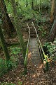 Iverson Trail - Portola Redwoods State Park