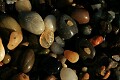 Pebbles - Pebble Beach
