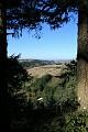 View of Pacific Ocean - Butano Redwoods State Park