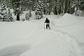Diane blazes a trail - Sierra-At-Tahoe 