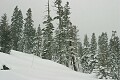 Wind and snow - Sierra-At-Tahoe 