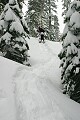 Snowshoe trail - Sierra-At-Tahoe