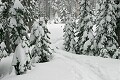 Snowshoe trail - Sierra-At-Tahoe