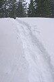 Snowshoe trail