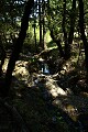 Mt. Tamalpais stream