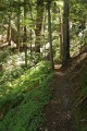 Doe Ridge Trail