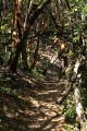 Castle Rock State Park - Ridge Trail