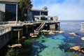 Monterey Bay Aquaruim