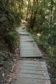 Bridge Creek Trail
