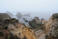 Point Lobos State Reserve - August 21, 2007