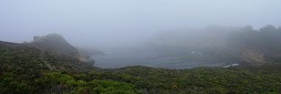 Headland Cove in fog