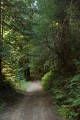 Borden-Hatch Mill Trail