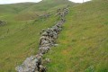 Ancient stone row