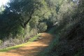 Upper High Meadow Trail