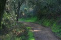 High Meadow Trail