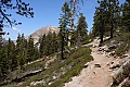 Yosemite 15th