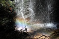 Berry Creek Fall - rainbow
