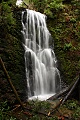 Berry Creek Falls (shade)