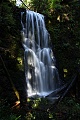 Berry Creek Falls (sunlight)