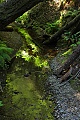 Little Butano Creek