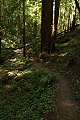 Little Butano Creek Trail