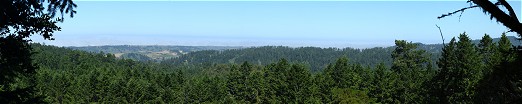 Pacific Ocean (fog) panorama