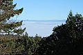 Fog filling the San Francisco Bay area (afternoon)