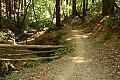 Miramontes Trail