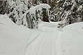 Sierra-at-Tahoe Snowshoe Trail