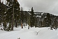 Sierra-at-Tahoe Snowshoe Trail