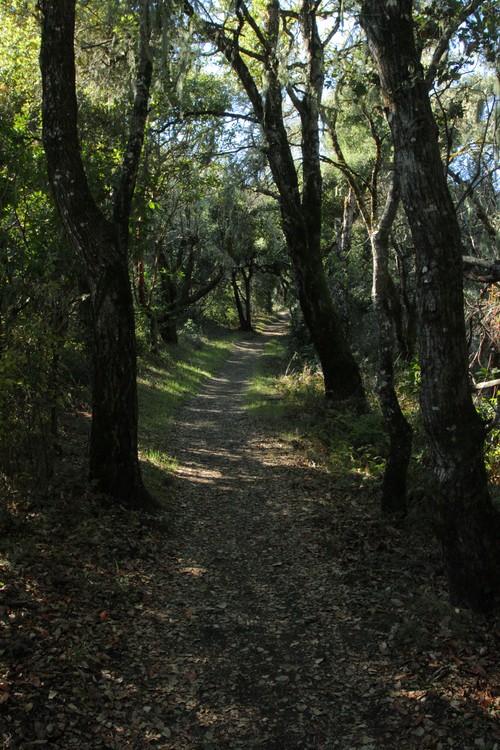 Hamms Gulch Trail