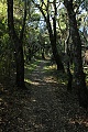 Hamms Gulch Trail