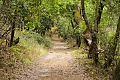 Alambuque Trail