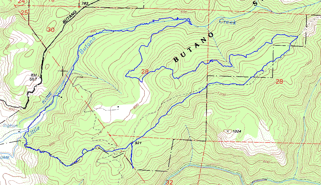 Butano Topographic Map
