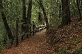 Crystal Springs Trail