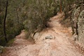 Condor Gulch Trail