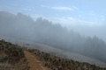 Matt Davis Trail - almost above the fog