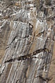 Glacier Point cliff