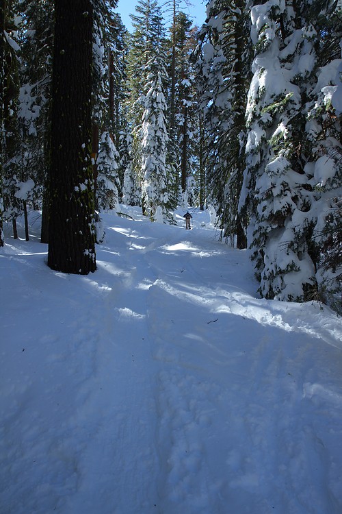 Ridge Trail from Dewey Point